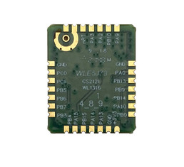 Long terme Lora Module For Iot de connectivité sans fil