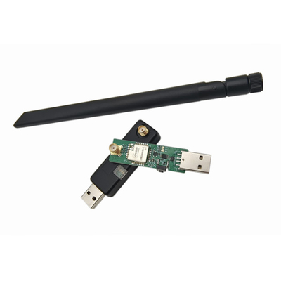 Le dongle LoRa sans fil USB peut être utilisé en conjonction avec le DTU.