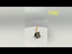 Module LoRa LRW32BH-C